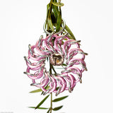 Christmas wreath ornament - Silver Base